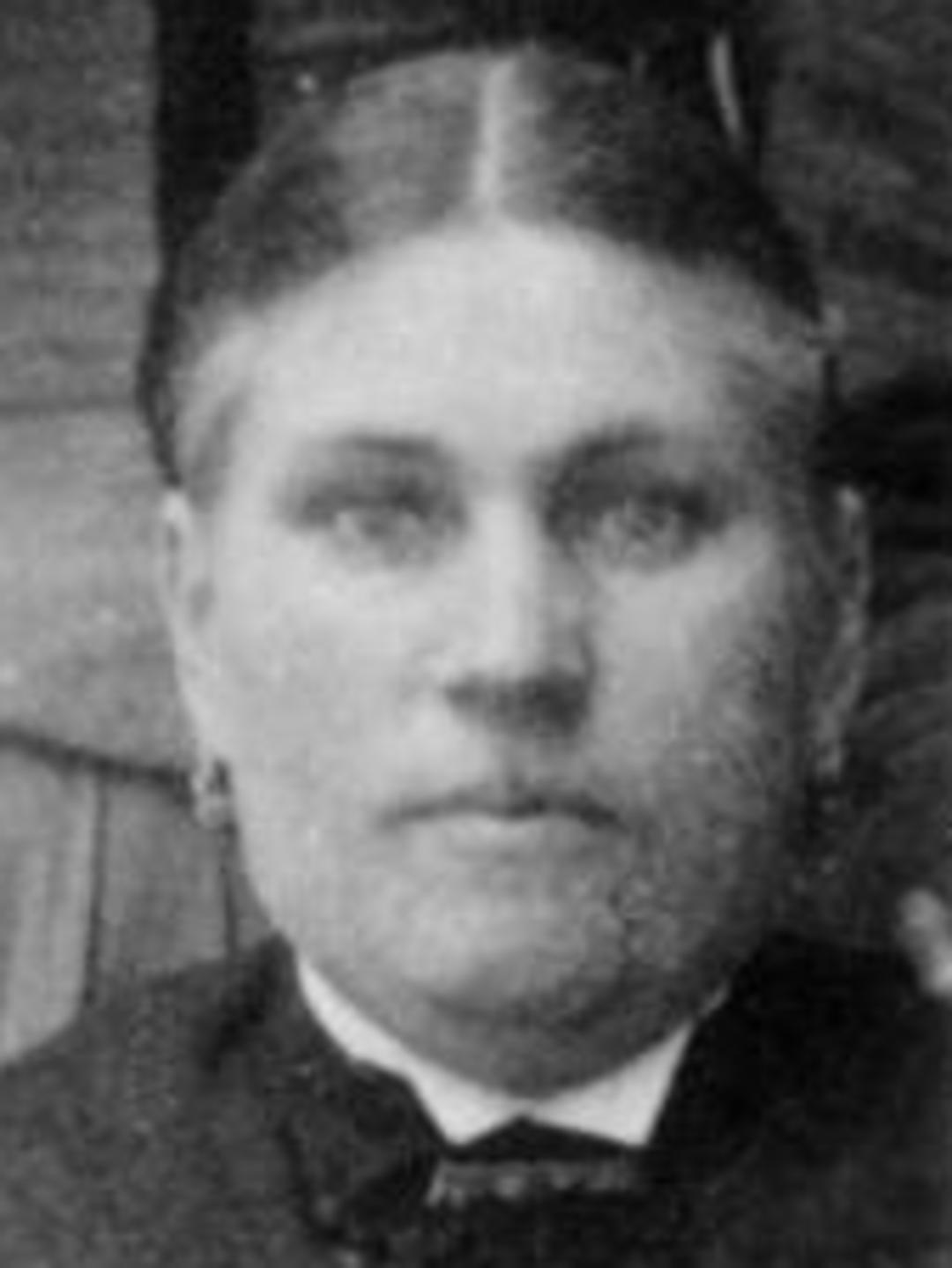 Ellen Webster (1846 - 1916) Profile